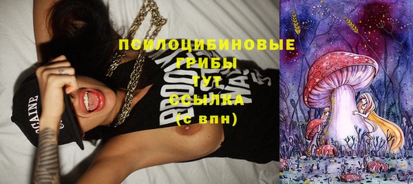 дживик Абинск