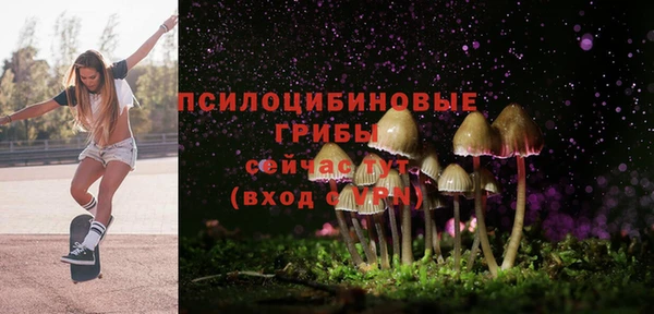 прущие крисы Алексин
