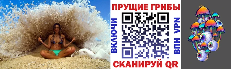 omg   Избербаш  Псилоцибиновые грибы Psilocybine cubensis 